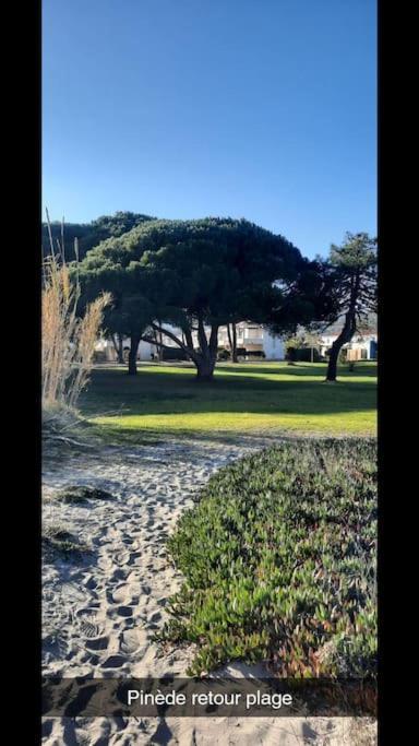 Location Les Pieds Dans L'eau, Aqua Linda A Poggio-mezzana Apartment Poggio Mezzana