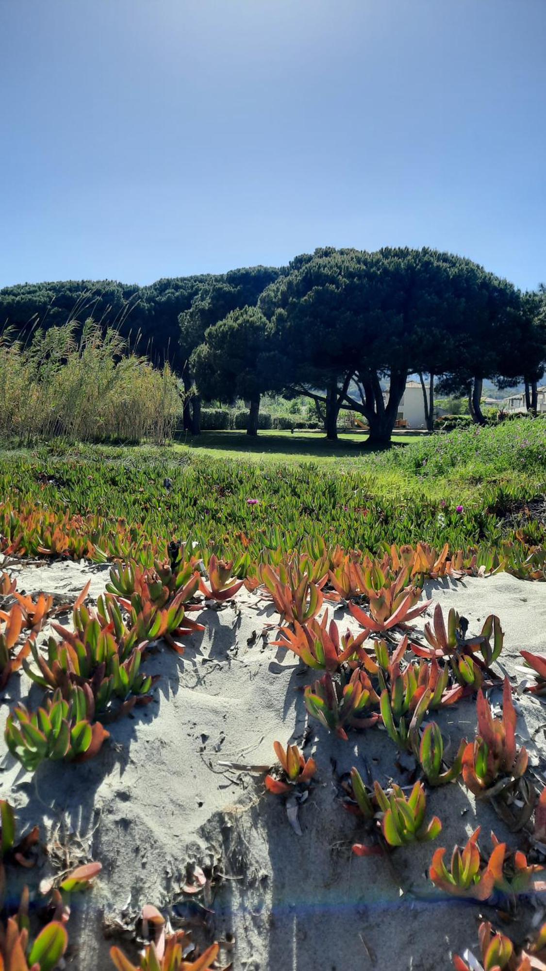 Location Les Pieds Dans L'eau, Aqua Linda A Poggio-mezzana