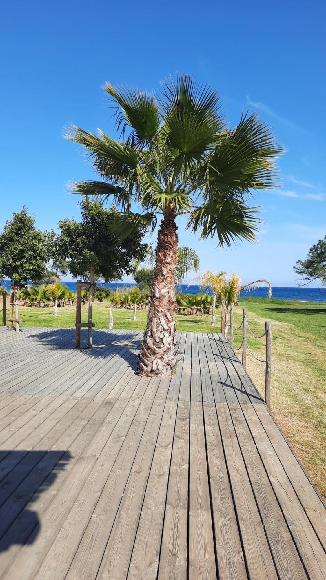 Location Les Pieds Dans L'eau, Aqua Linda A Poggio-mezzana Apartment Poggio Mezzana