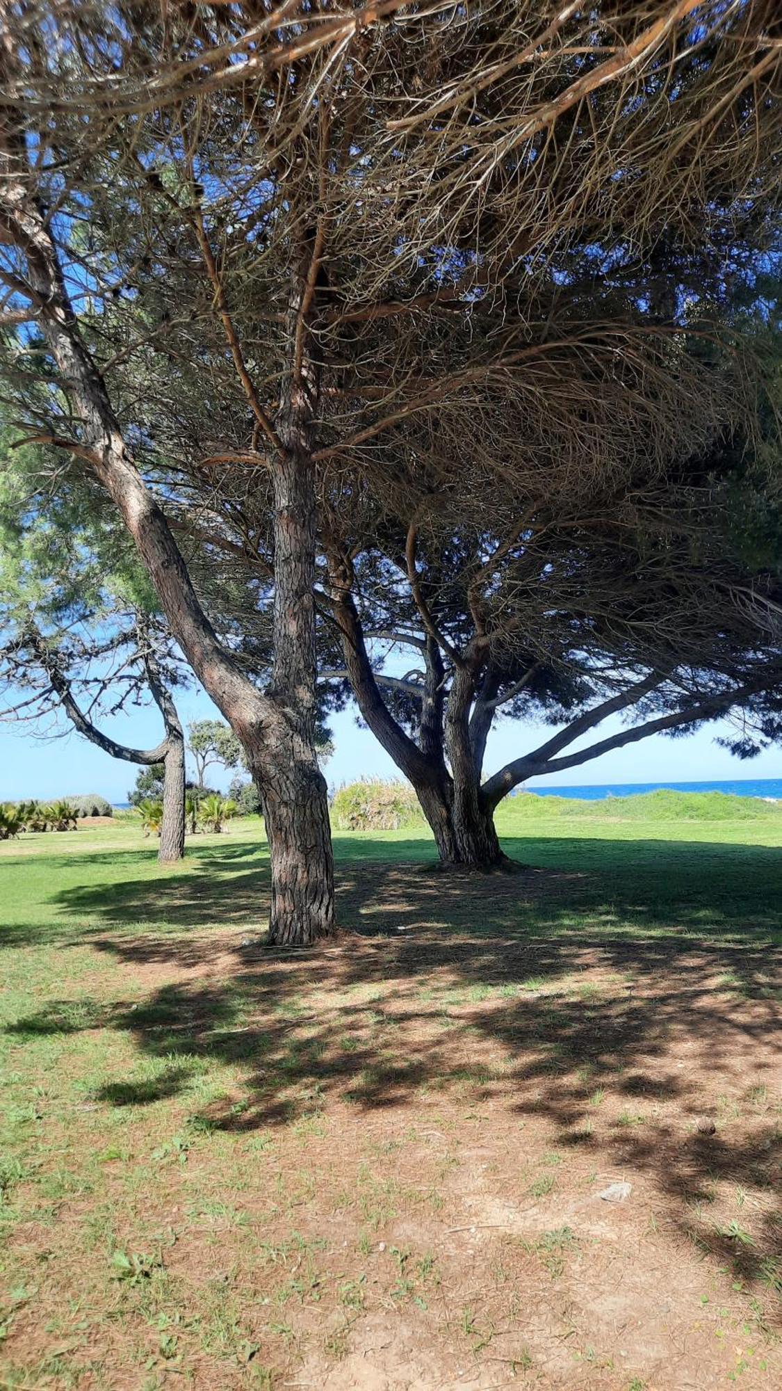 Location Les Pieds Dans L'eau, Aqua Linda A Poggio-mezzana